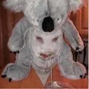 Meet your Posher, Austin